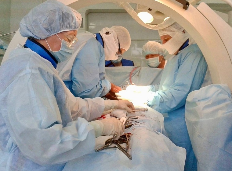 В Тюменской области лошадь укусила женщину за лицо