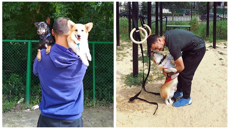 Няня для Барбоса