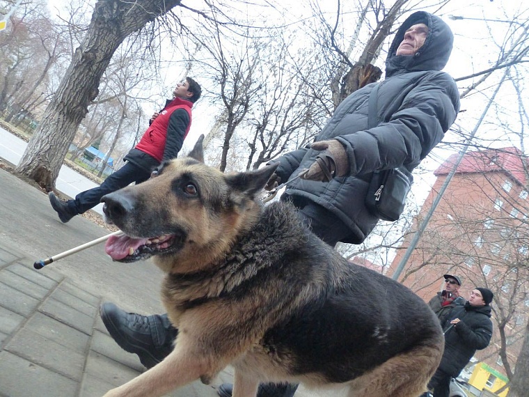 «Подхожу к остановке и кричу в никуда»