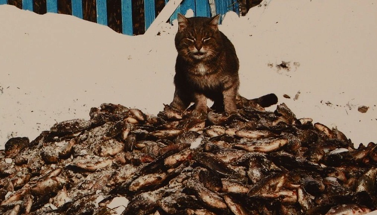 Историю Сибири представили в фотографиях её жителей