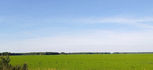 Народные приметы: в день солнцестояния лето вступает в свой расцвет