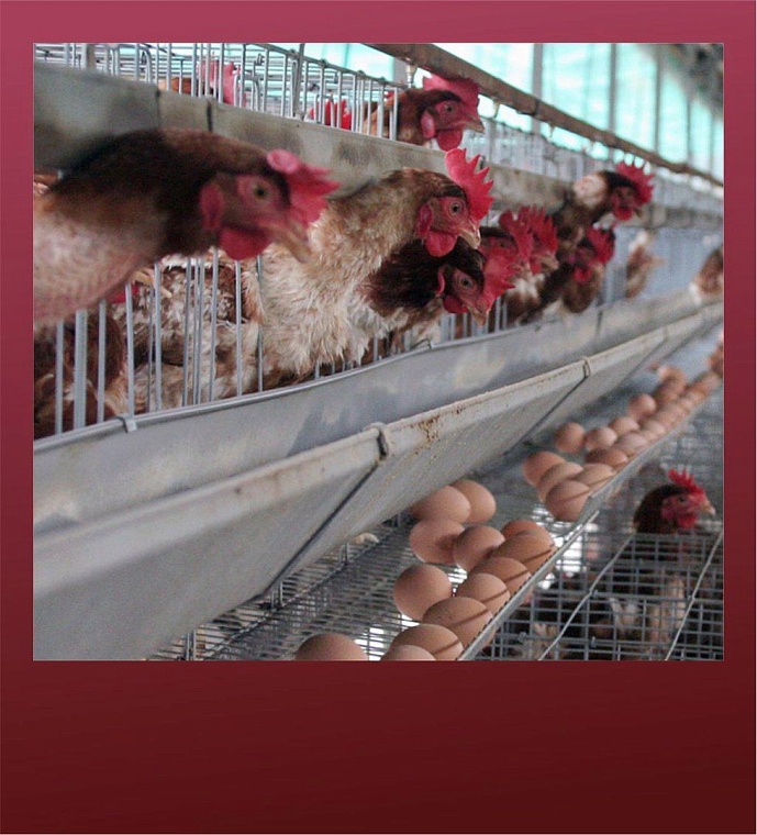 Вспомнить все. Новейшая история региона в материалах «Вслух.ру». Август 2001 – 2016