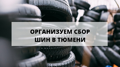 Экоактивисты весной возьмут у тюменцев старые шины бесплатно, чтобы утилизировать