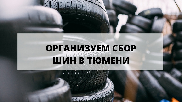 Экоактивисты весной возьмут у тюменцев старые шины бесплатно, чтобы утилизировать