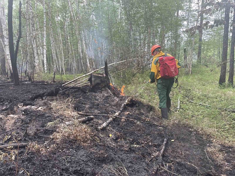 Выявлять лесные пожары "Тюменской авиабазе" помогают камеры наблюдения