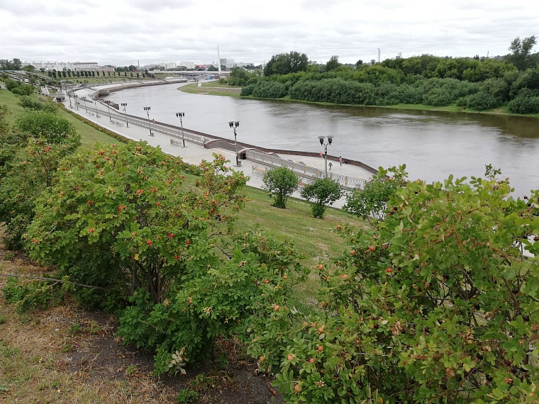 В Тюмени прогнозируют дождь и резкое похолодание