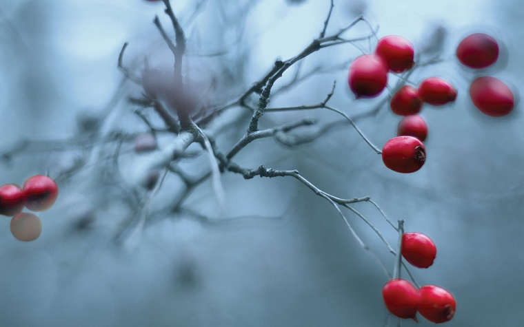 Маст воч: Самые Полезные Фильмы об Уверенности в Себе