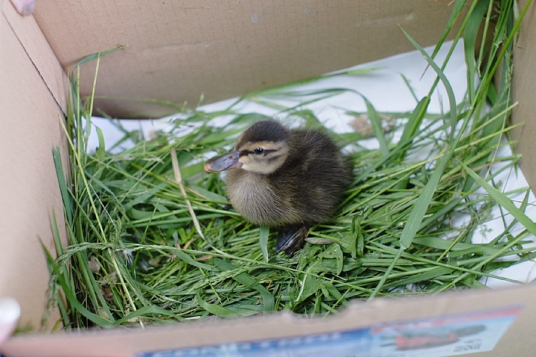фото Евгения Беляева