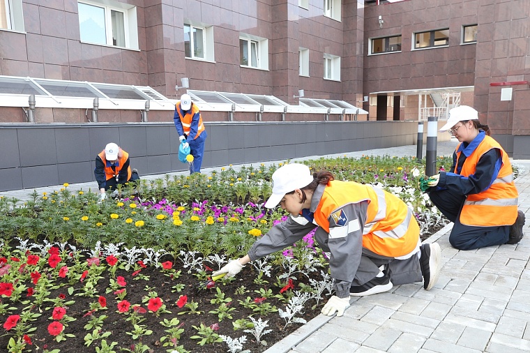 Озеленению территорий, прилегающих к объектам Общества, всегда уделяется большое внимание.