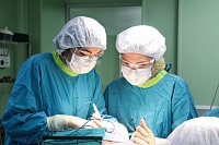 Тюменские онкологи лечат рак гортани без разрезов на шее
