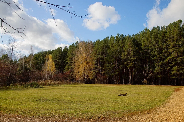 Народные приметы на 3 сентября: сегодняшняя погода говорит на месяц вперед