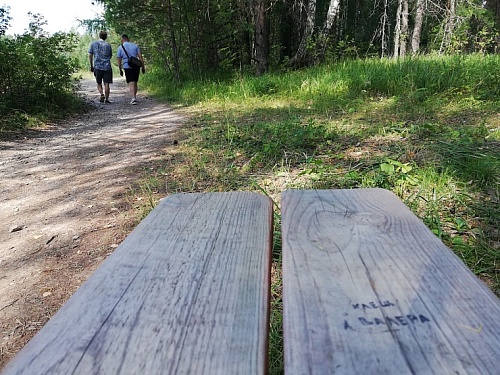 В Тюмени клещевой сезон стартовал раньше обычного
