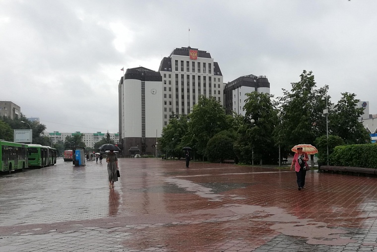 МЧС предупреждает тюменцев о грозах и шквальном ветре 26 августа