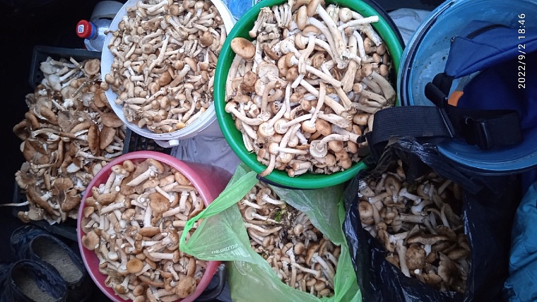 фото Светланы Кузнецовой