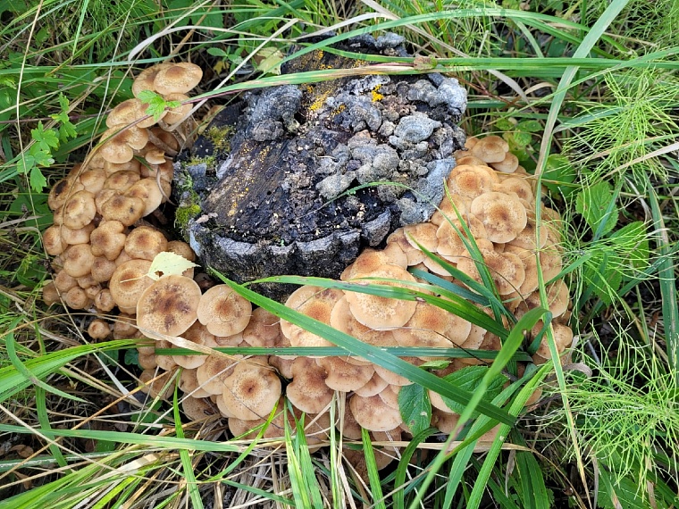 фото Натальи Жеребовой