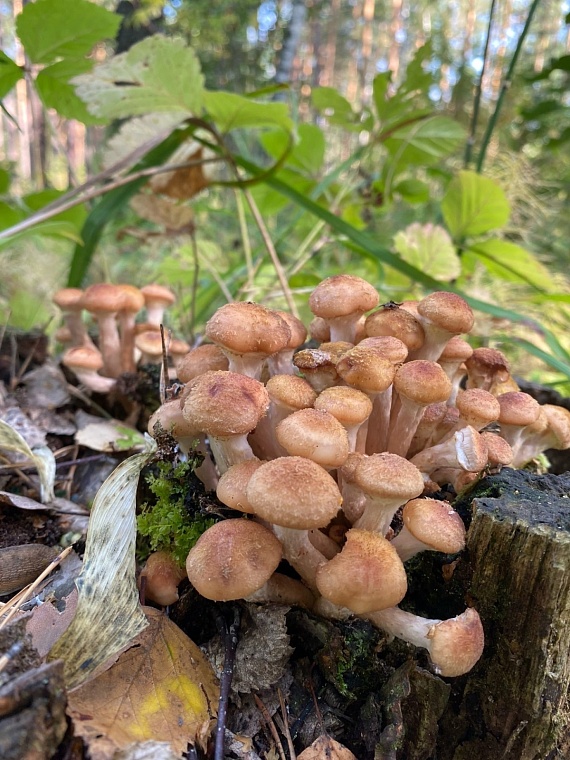 фото Ольги Курочкиной