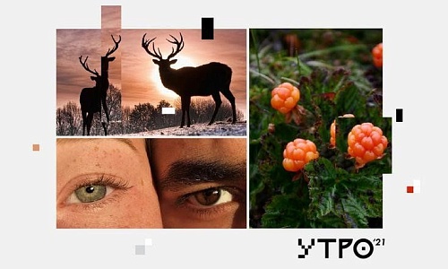 Тюменцы все еще могут зарегистрироваться на первый кейс-форум на Северном полярном круге