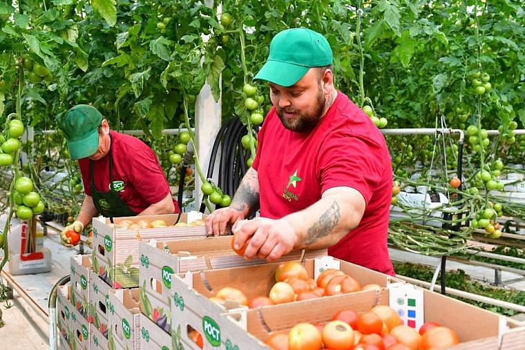 Александр Моор рассказал об успехах тепличного комбината в Нариманова