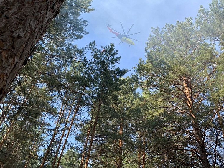 В ближайшие час в Тюменской области ожидаются порывы ветра до 27 м/с