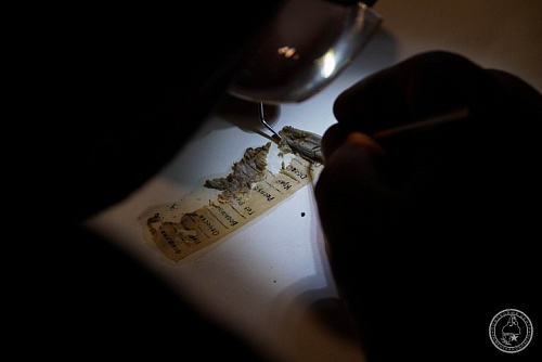 Ямальские поисковики установили имя павшего бойца: его родственники оказались жителями Уренгоя