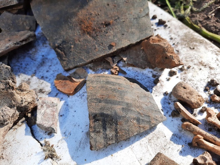 фото Аркадия Каюгина