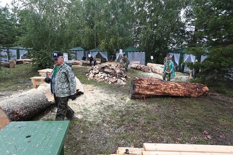 На Андреевском озере бревна превращают в произведения искусства