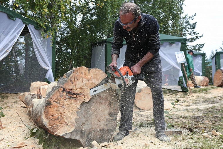 На Андреевском озере бревна превращают в произведения искусства