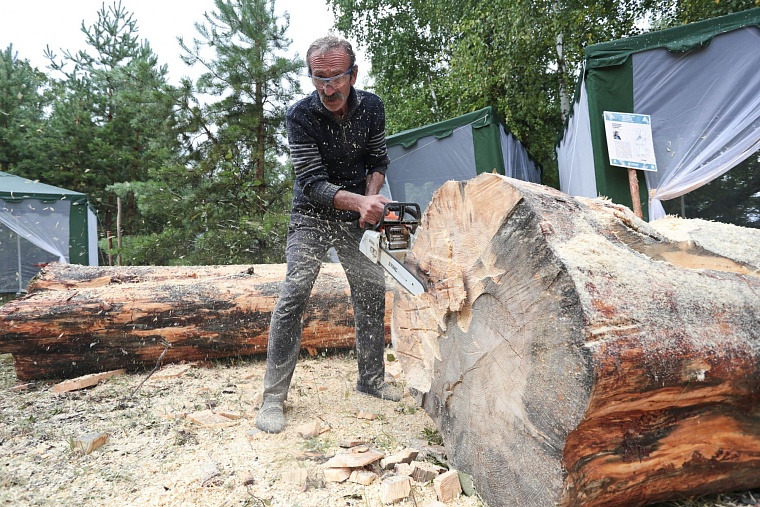 На Андреевском озере бревна превращают в произведения искусства