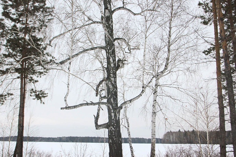 Через 46 км по Сибирскому тракту у корреспондента «Вслух.ру» задымил рюкзак