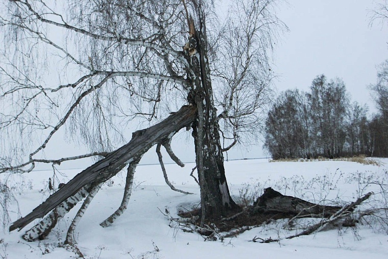 Через 46 км по Сибирскому тракту у корреспондента «Вслух.ру» задымил рюкзак