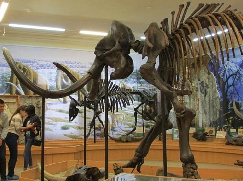 Знаменитый тюменский мамонт Иваныч сегодня отмечает 137-летие