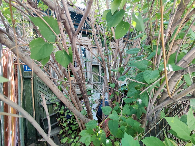 Смертельная водка: репортаж с места трагедии, где отравились тюменцы