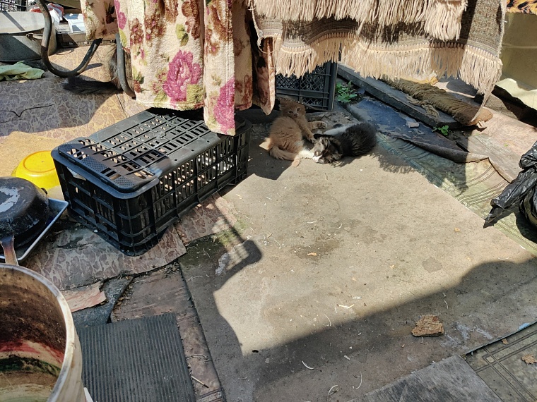 Смертельная водка: репортаж с места трагедии, где отравились тюменцы