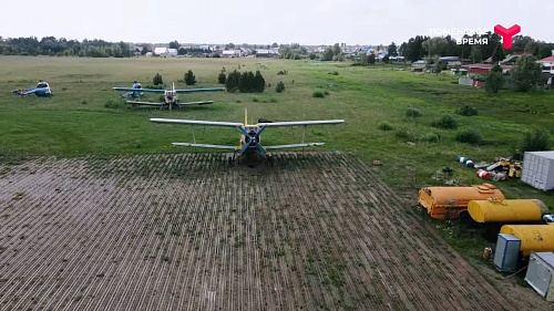 Прыжки с парашютом, деревянные скульптуры и Кошелевское городище: что посмотреть в Уватском районе?