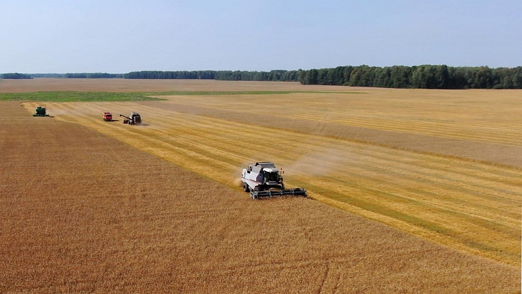 Аграрии Тюменской области стали лучшими в УрФО по семи показателям