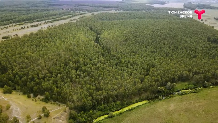 Чем привлекает российских туристов природный парк "Масали" в Тюменской области