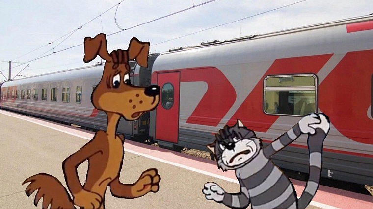 "Усы, лапы и хвост" — пассажиров РЖД начнут распознавать по биометрии