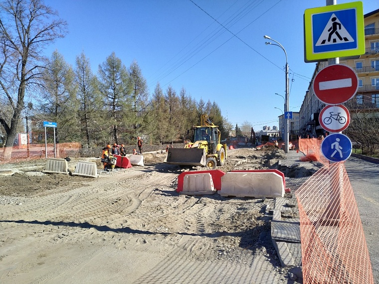 На улице Ленина в Тюмени появится дорожное ограждение из кустарников