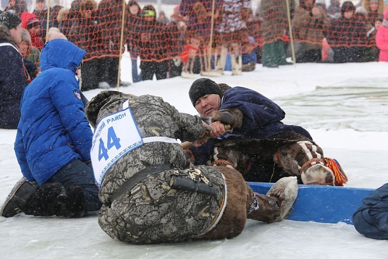 Национальный вид спорта — перетягивание палки.