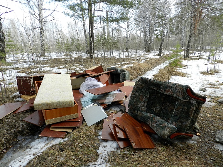Чупакабра, мусор и княженика: тюменские леса глазами натуралиста