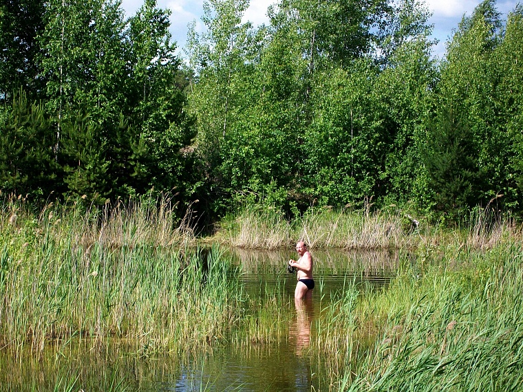 Чупакабра, мусор и княженика: тюменские леса глазами натуралиста