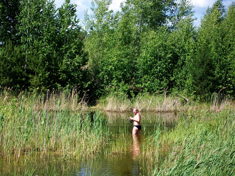 Чупакабра, мусор и княженика: тюменские леса глазами натуралиста