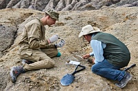 Тюменские археологи обнаружили святилище эпохи энеолита