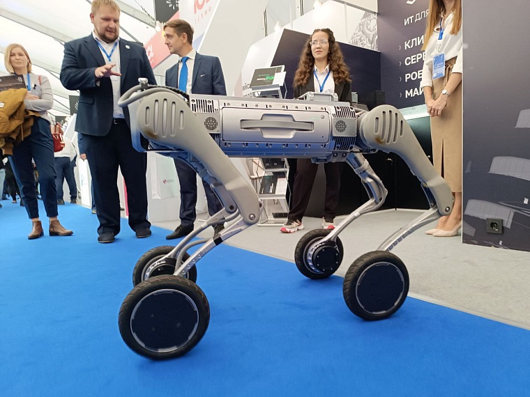 В Тюмени открылся международный форум TNF 2024