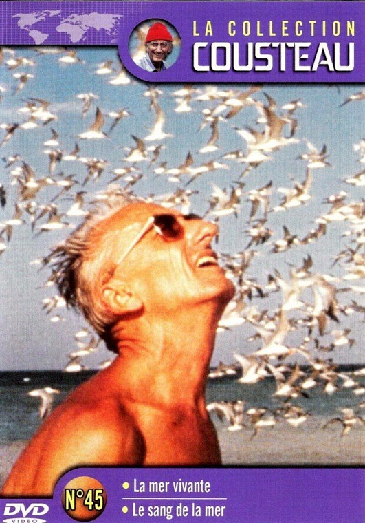 Проект «Фильмотека»: выбор Виктора Буртного