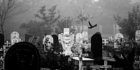 Что символизируют надгробия в виде деревьев с обрубленными ветвями на Текутьевском кладбище