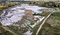 Экоактивисты: мусорный полигон в Заводоуковске вредит окружающей среде