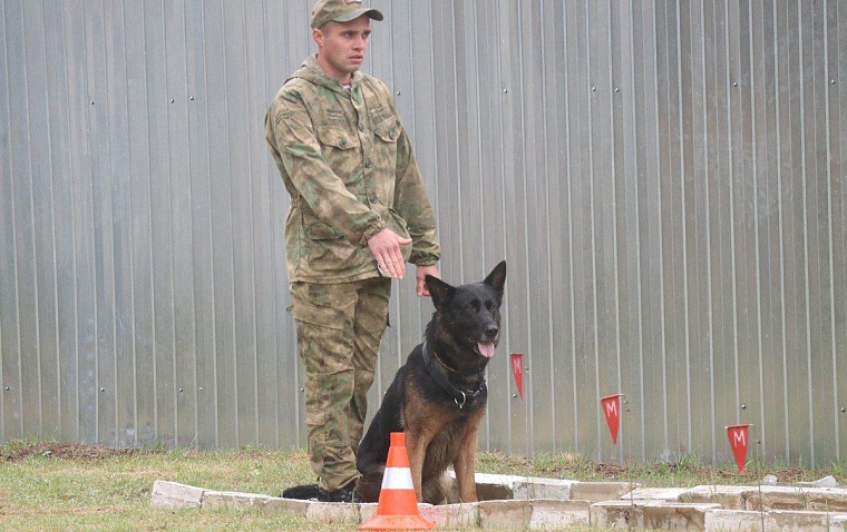 Тюменские кинологи победили на чемпионате Уральского округа войск нацгвардии