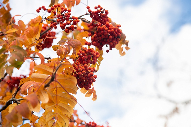 Народные приметы на 12 октября: в этот день на землю ненадолго вернется тепло