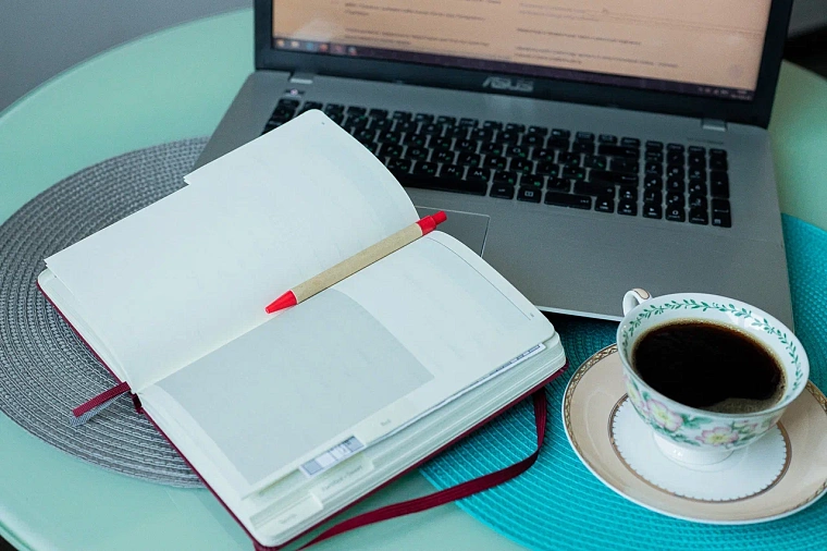 Пока вы спали: штрафы за использование старых газовых плит, рост безработицы и служба по спасению белок